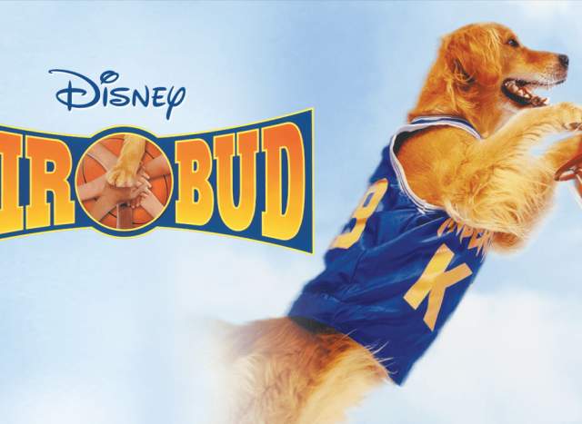 Movie: AIR BUD (1997)